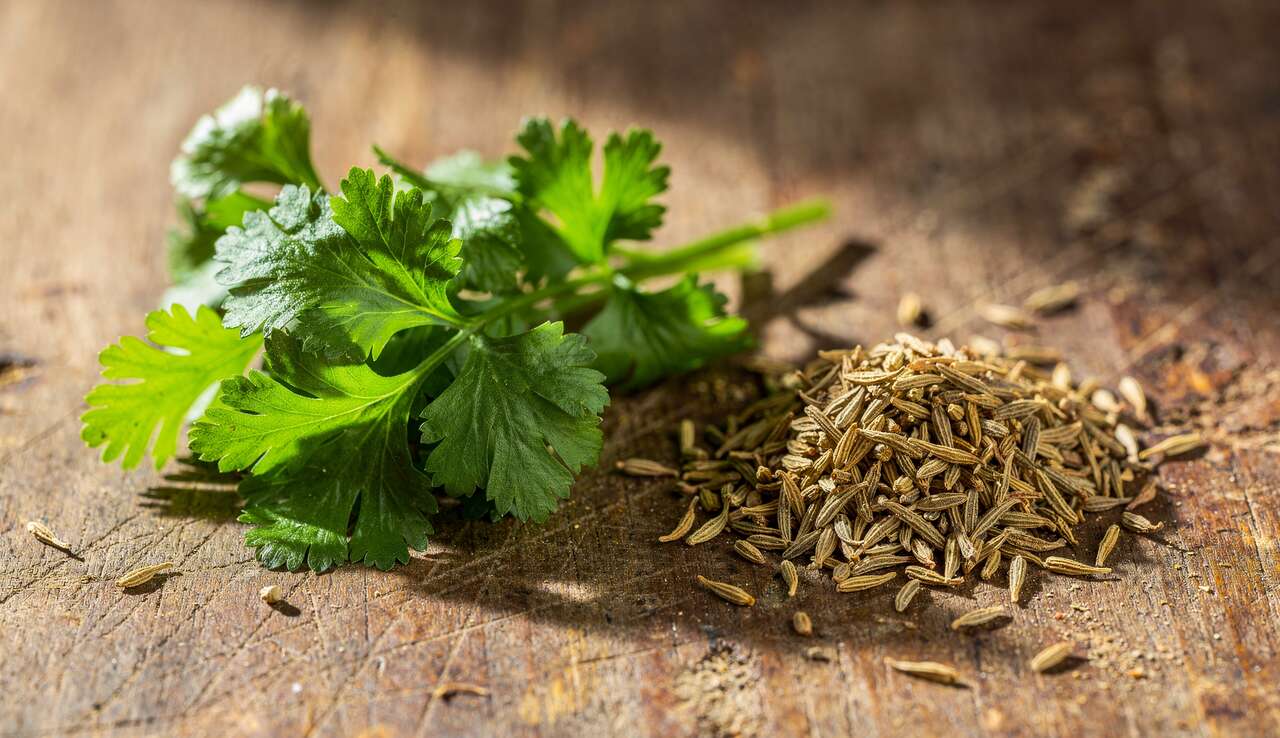 Associations savoureuses : coriandre et cumin en duo