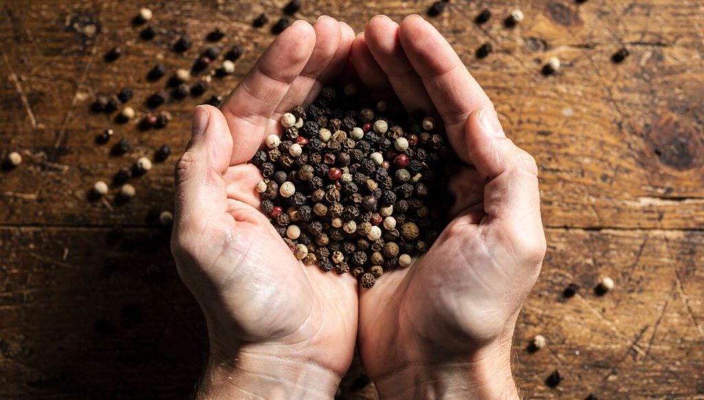 Poivre blanc ou poivre noir : comment choisir ?